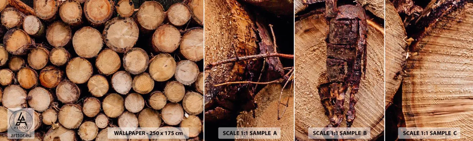 Fotobehang Monster Zelfklevend Deluxe Sticker - Een nieuw begin - Hout, Houtblokken, Natuur - 100x30 cm