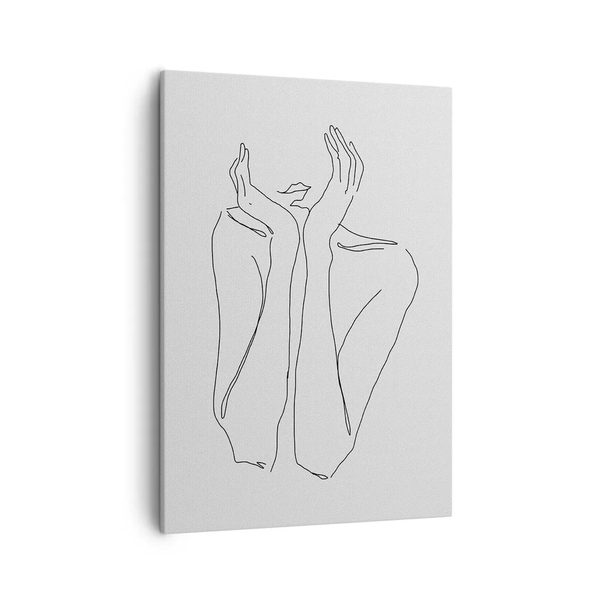 Schilderen op canvas - Waar meisjes van dromen - 50x70 cm