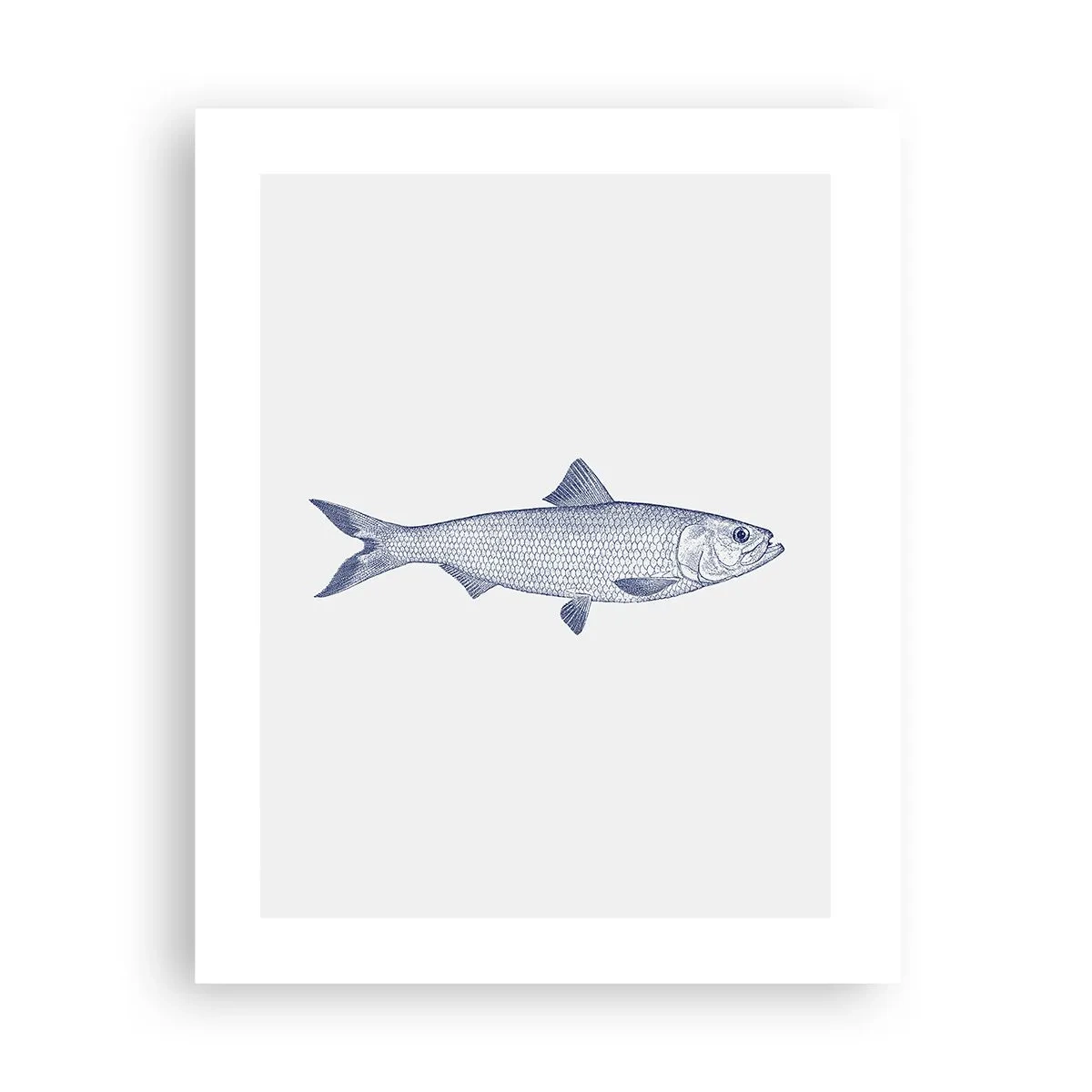 Poster - Groeten uit de noordelijke zeeën - 40x50 cm