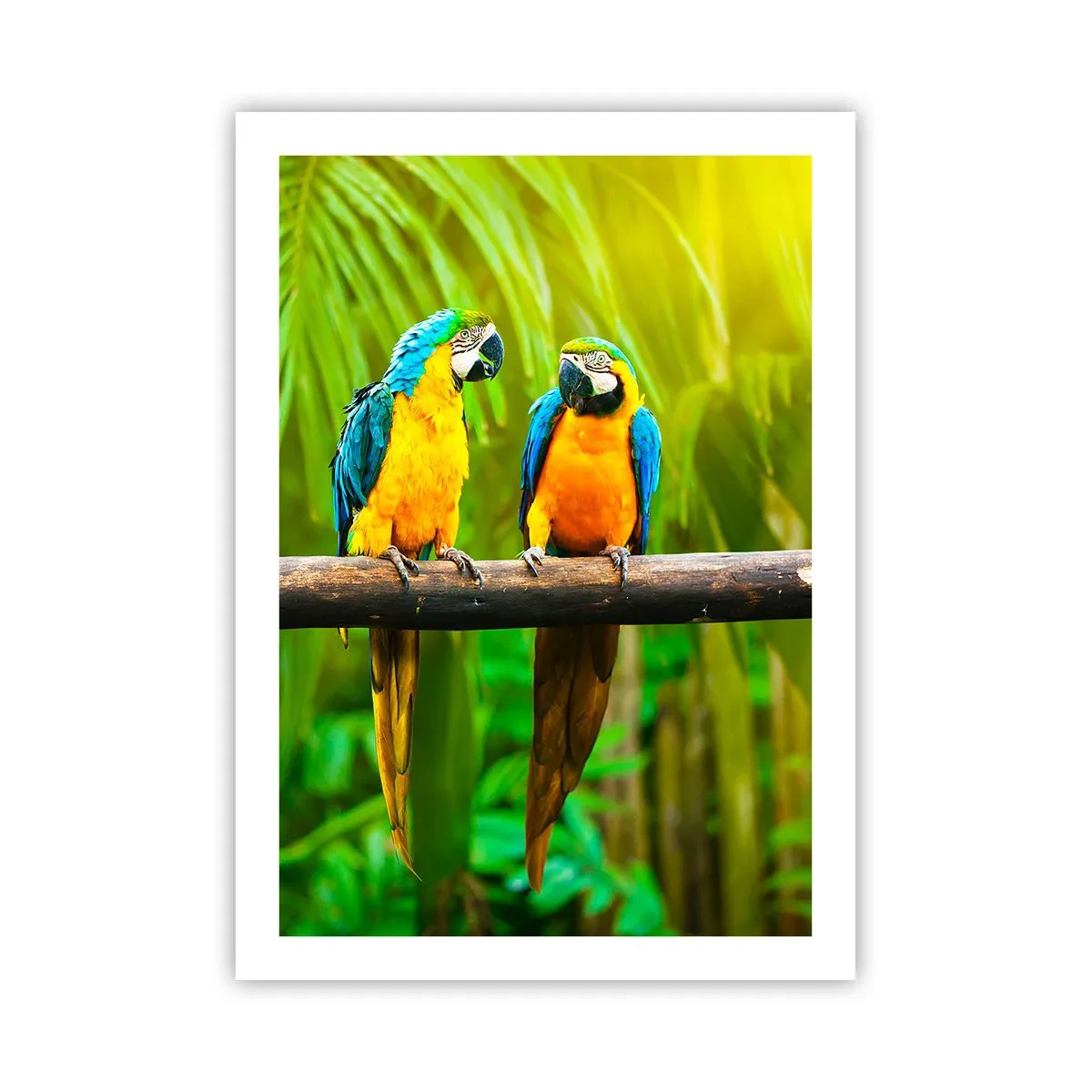 Poster - En heb je gehoord dat ze...? - 50x70 cm