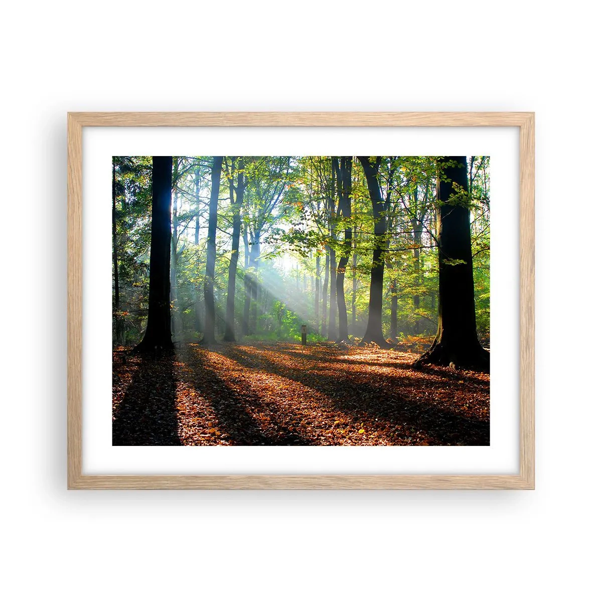 Een poster in een licht eiken lijst - Lichten en schaduwen - 50x40 cm