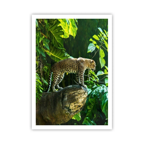 Poster - Op jacht? - 70x100 cm