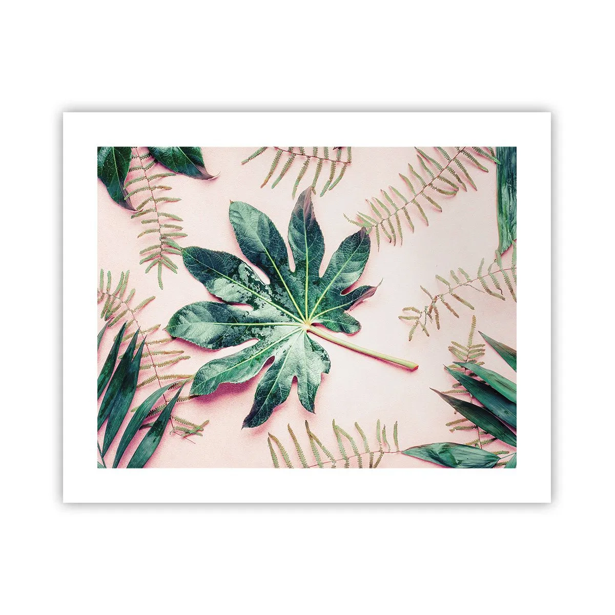 Poster - Een studie van groen op een roze achtergrond - 50x40 cm