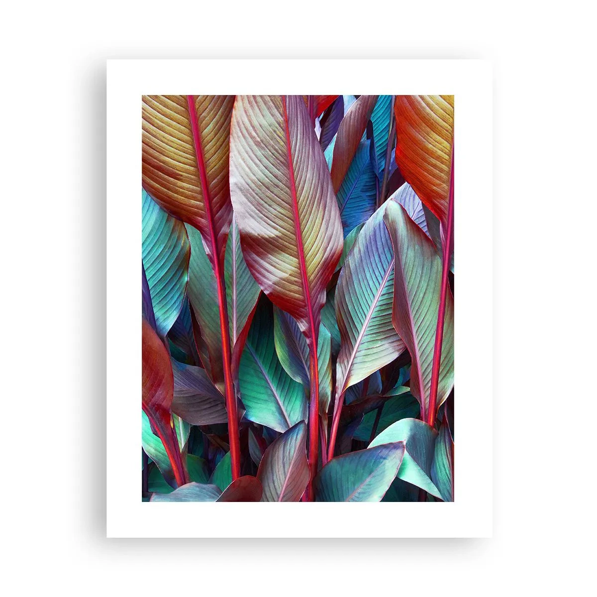 Poster - Een kleurrijk struikgewas - 40x50 cm
