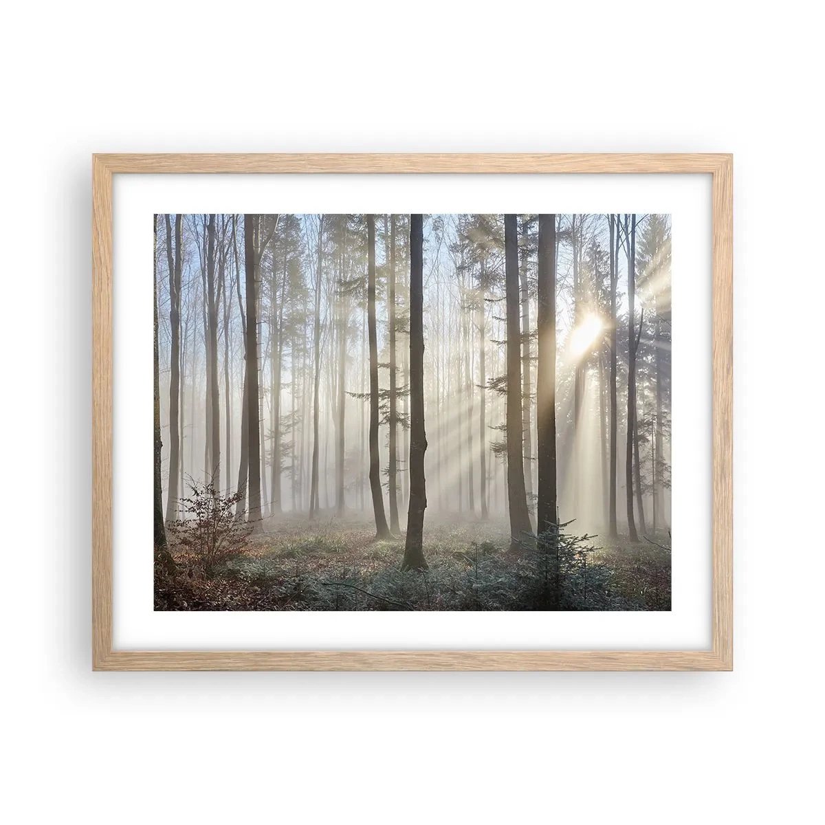 Een poster in een licht eiken lijst - De mist werd ook wakker - 50x40 cm