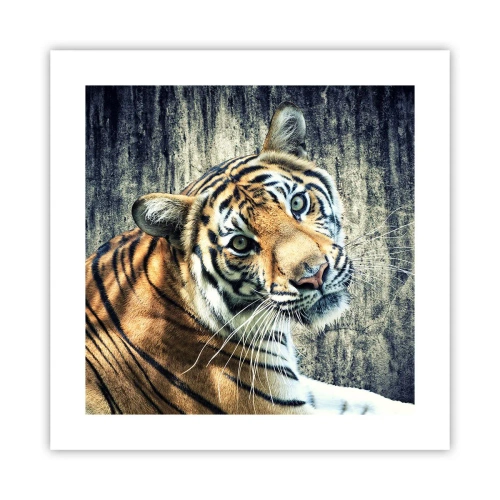 Poster - Portret in stromen van licht - 40x40 cm