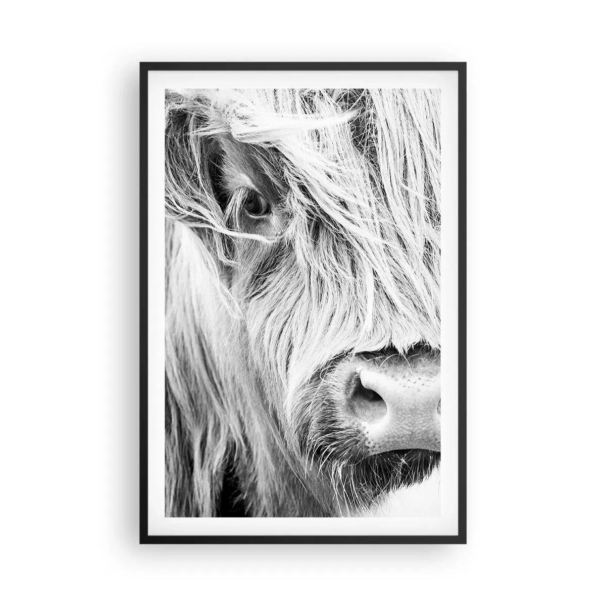 Poster in een zwarte lijst - Schotse wildheid - 61x91 cm