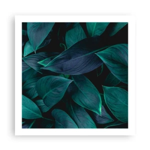 Poster - Groen op zichzelf - 60x60 cm