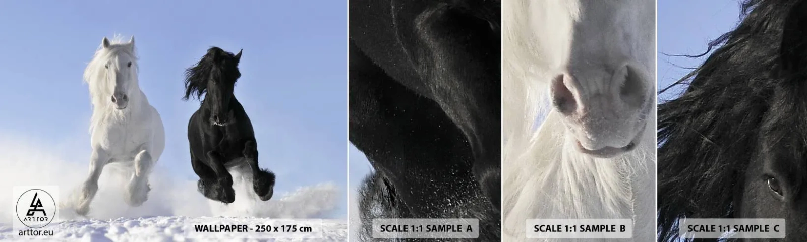 Fotobehang Monster Zelfklevend Deluxe Sticker - Zwart-wit galop - Dieren, Paard, Winter - 100x30 cm