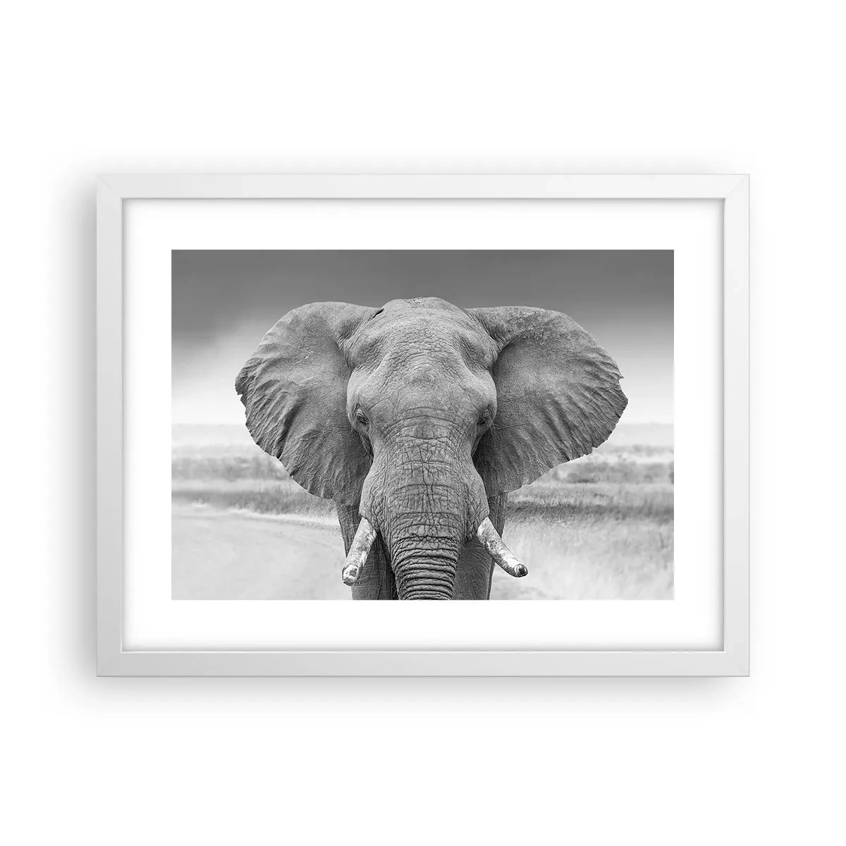 Poster in een witte lijst - Welkom in mijn wereld - 40x30 cm