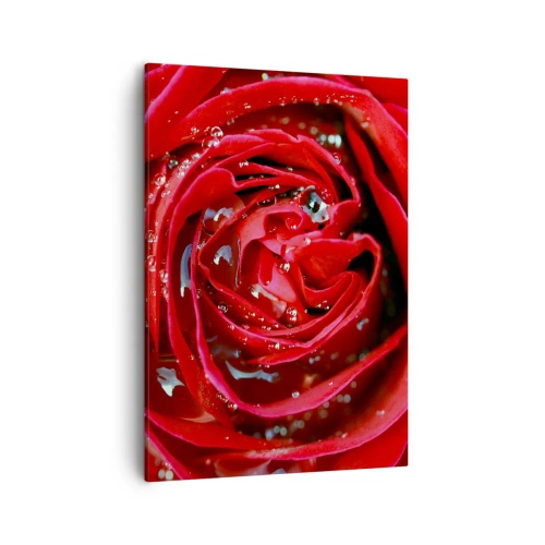 Schilderen op canvas - In de dauwdruppels - 50x70 cm