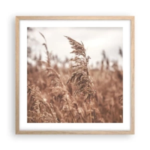 Een poster in een licht eiken lijst - Het is al herfst in de velden - 50x50 cm