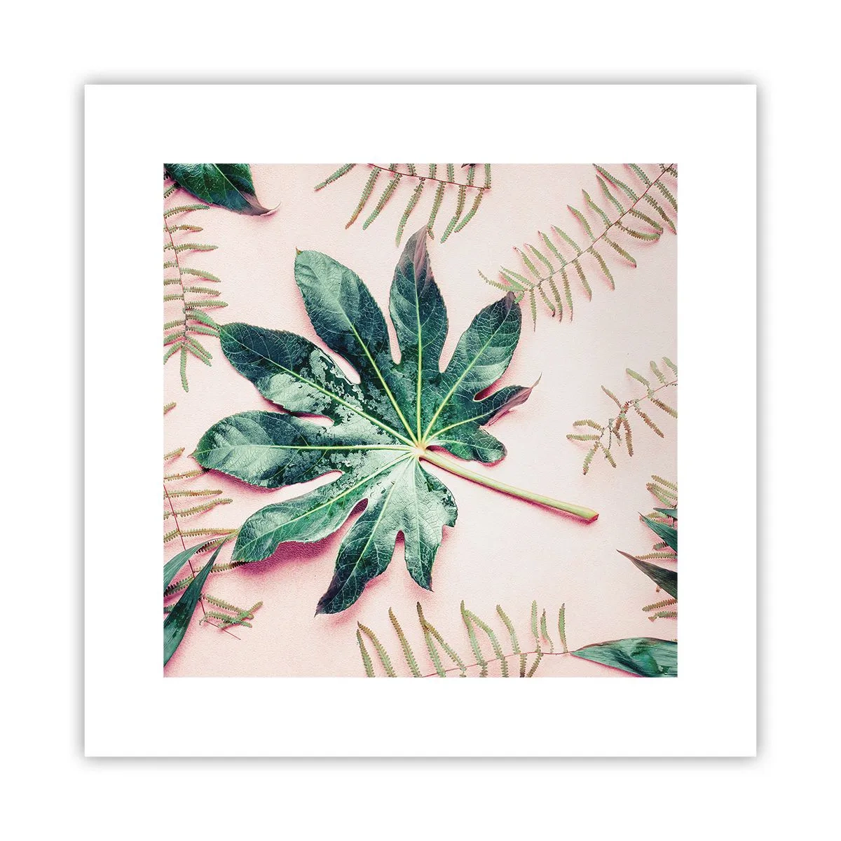 Poster - Een studie van groen op een roze achtergrond - 30x30 cm