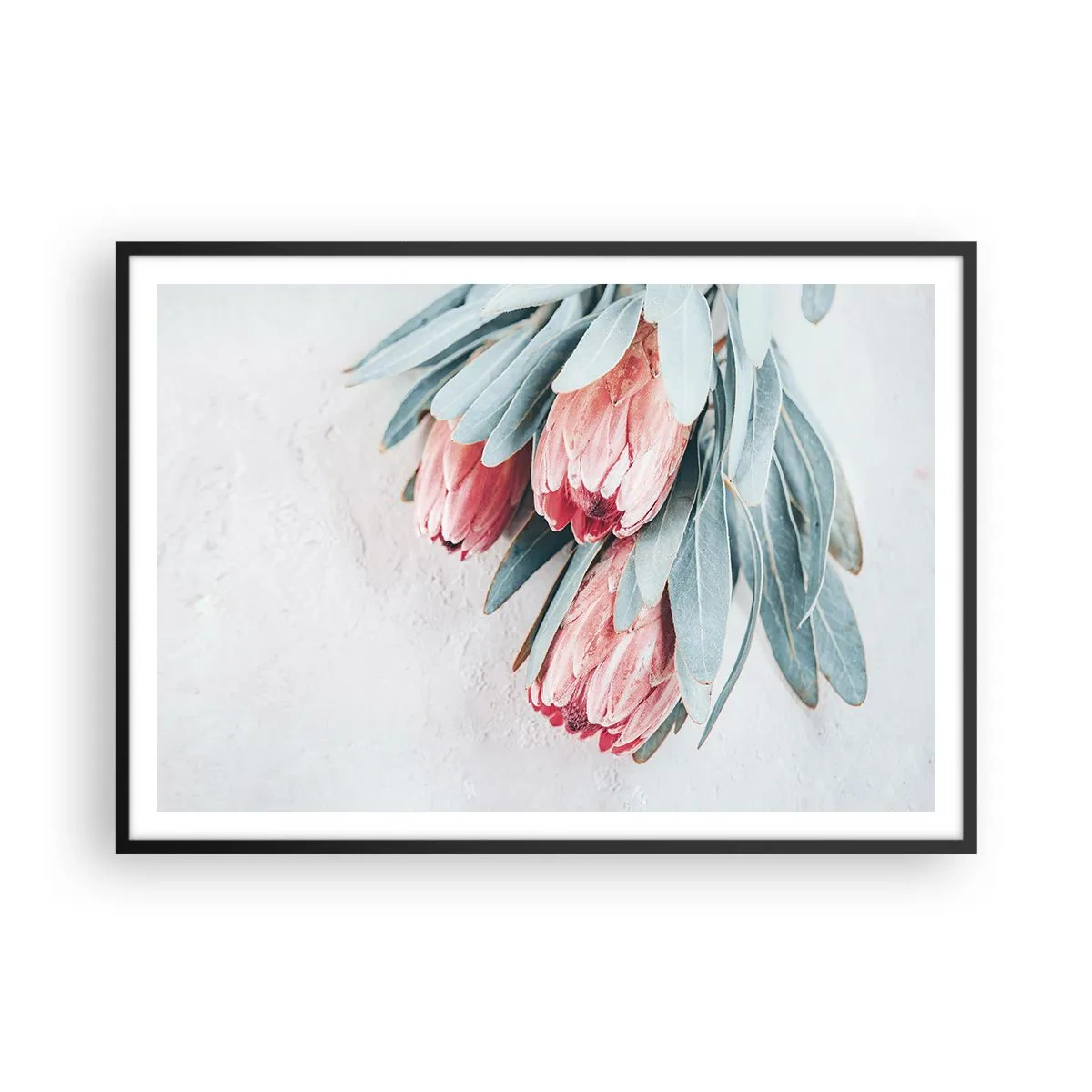 Poster in een zwarte lijst - Schaamt zich voor hun eigen schoonheid - 100x70 cm