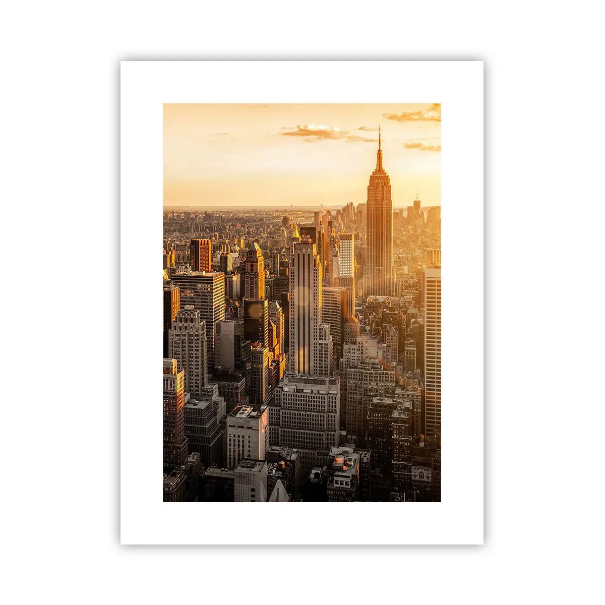 Poster - Groeien in de zon - 30x40 cm