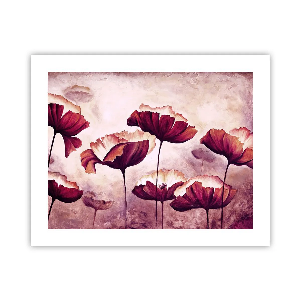 Poster - Rood en wit bloemblad - 50x40 cm