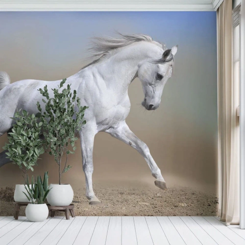 Fotobehang Premium Sand - Het mooiste Arabische sprookje - Paard, Dieren, Galop - 100x70 cm