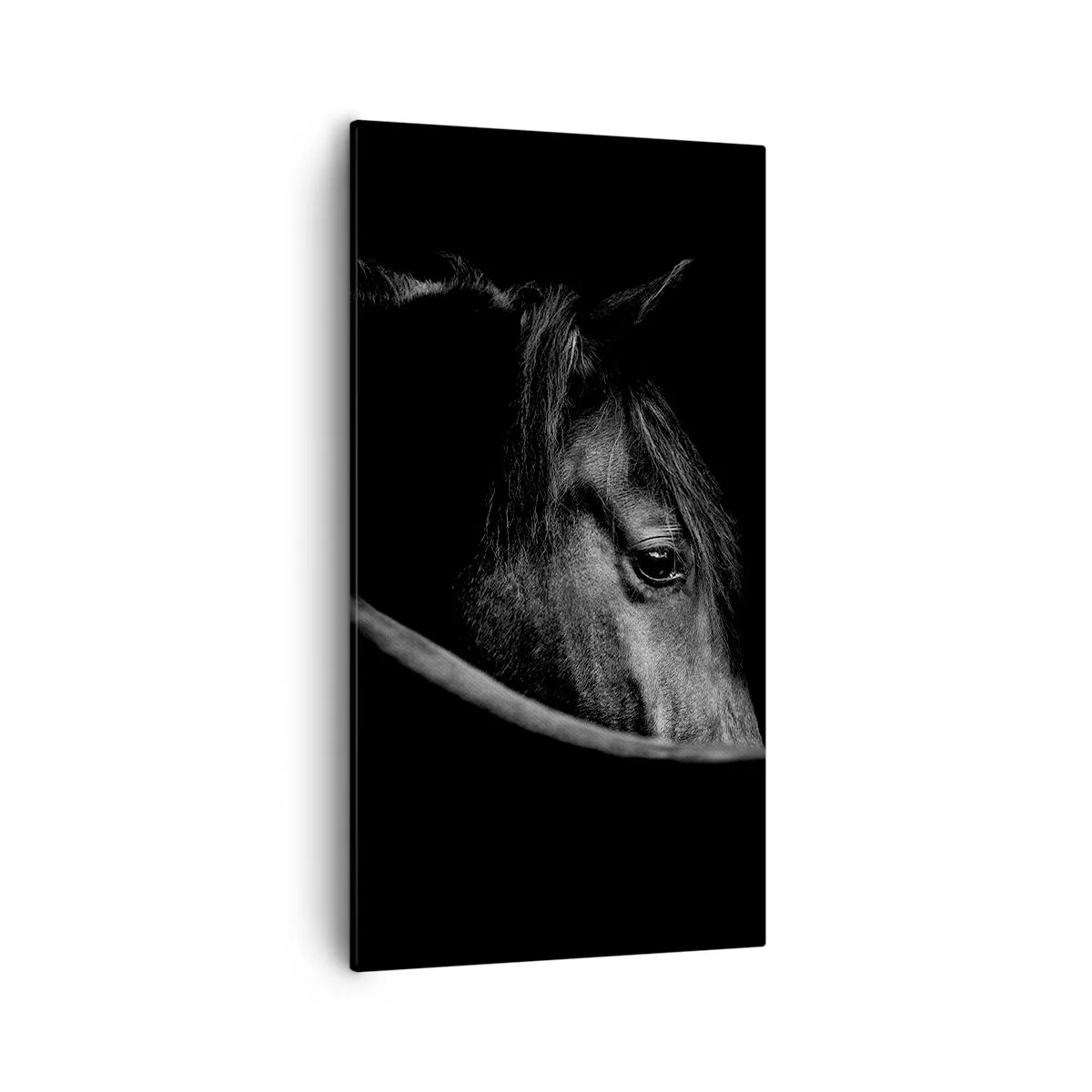 Schilderen op canvas - Zwarte Prins - 55x100 cm