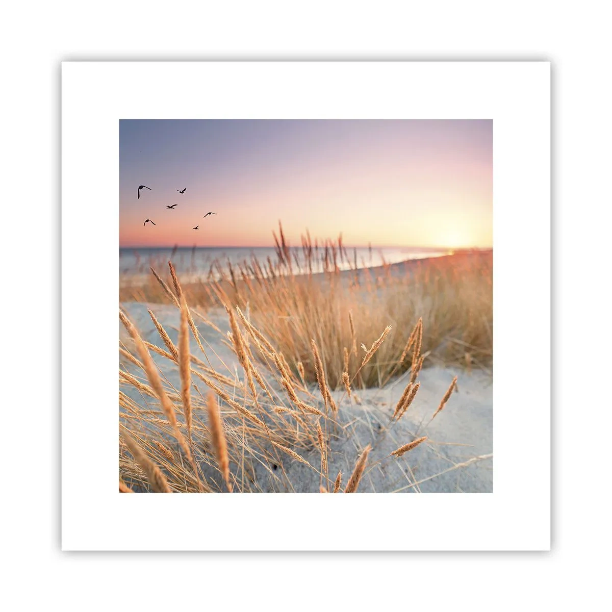 Poster - Het Baltische slaapliedje - 30x30 cm