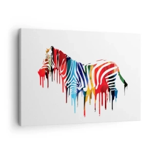 Schilderen op canvas - Abstracte zebra in kleurrijke kleuren met een verfeffect - 70x50cm - Niet alleen zwart-wit - Moderne wanddecoratie voor woonkamer en slaapkamer ARTTOR
