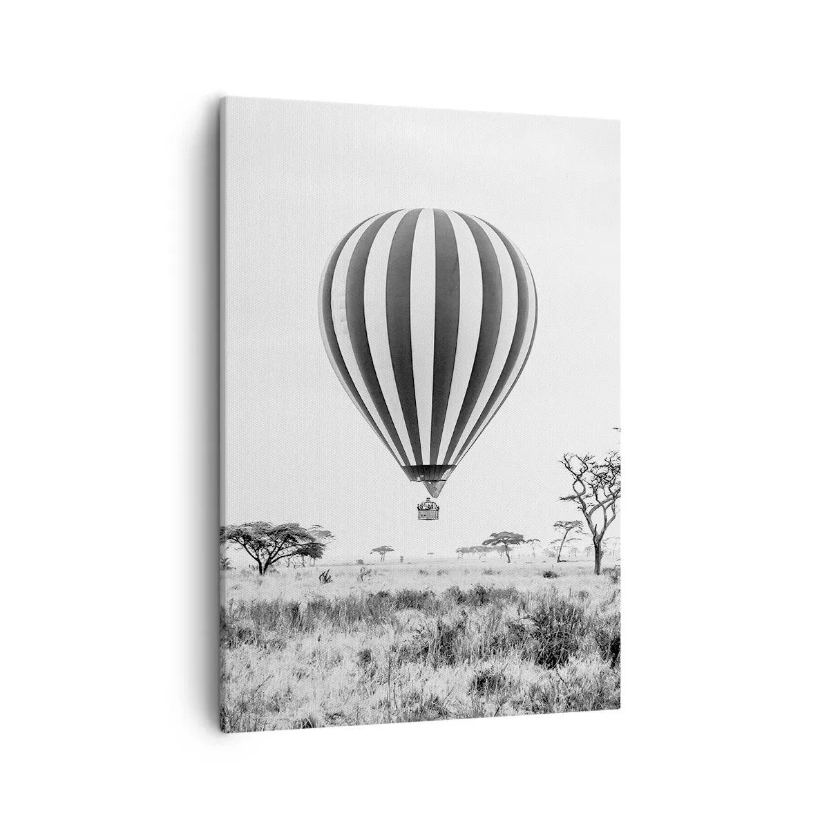 Schilderen op canvas - Boven de savanne - 50x70 cm