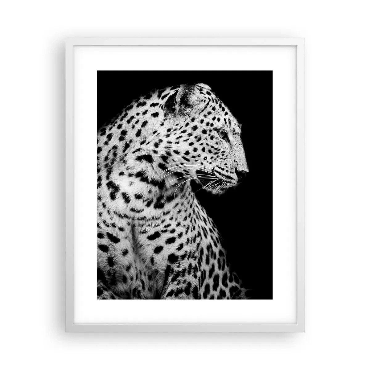 Poster in een witte lijst - Juist profiel perfect! - 40x50 cm