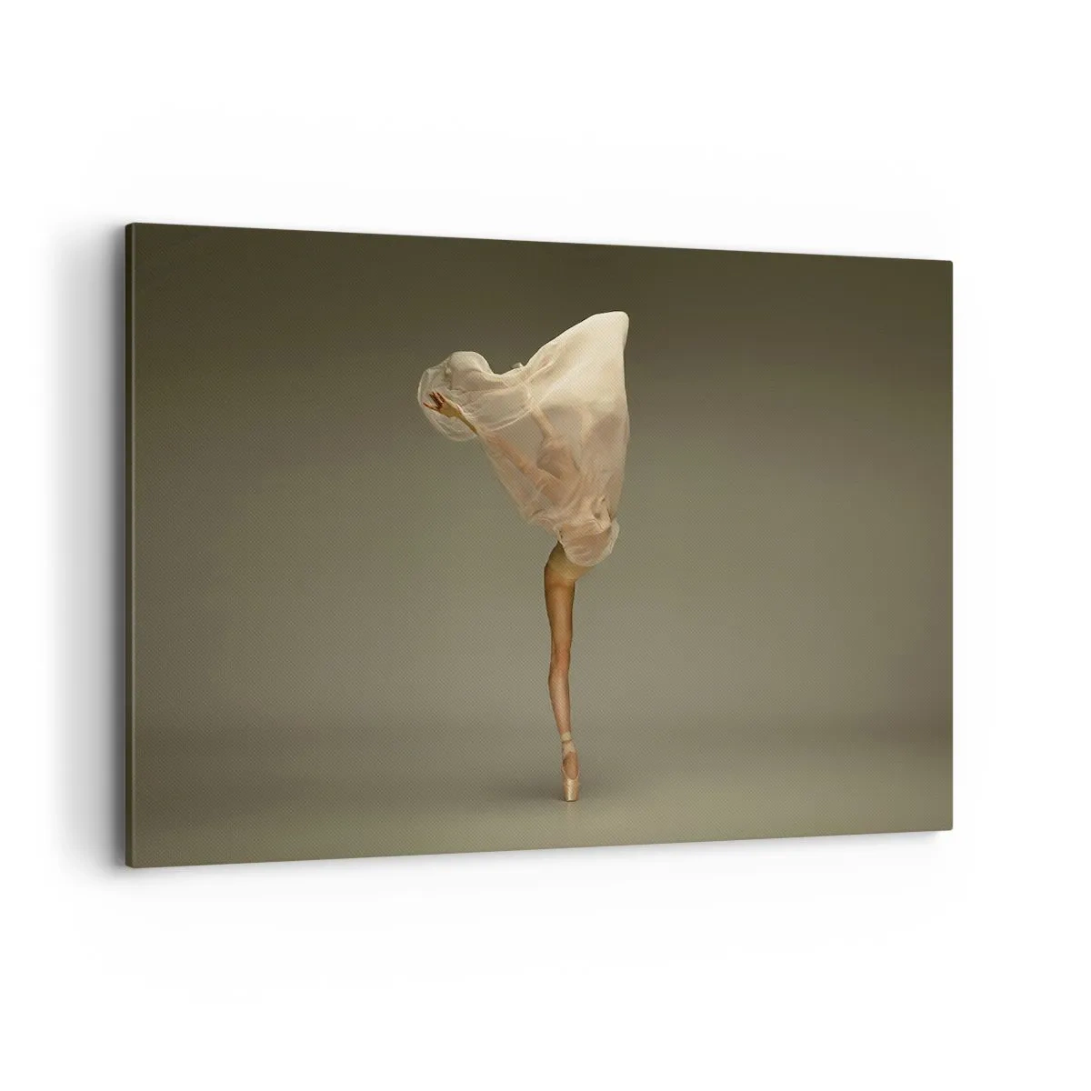 Schilderen op canvas - Het zal snel omhoog vliegen - 120x80 cm