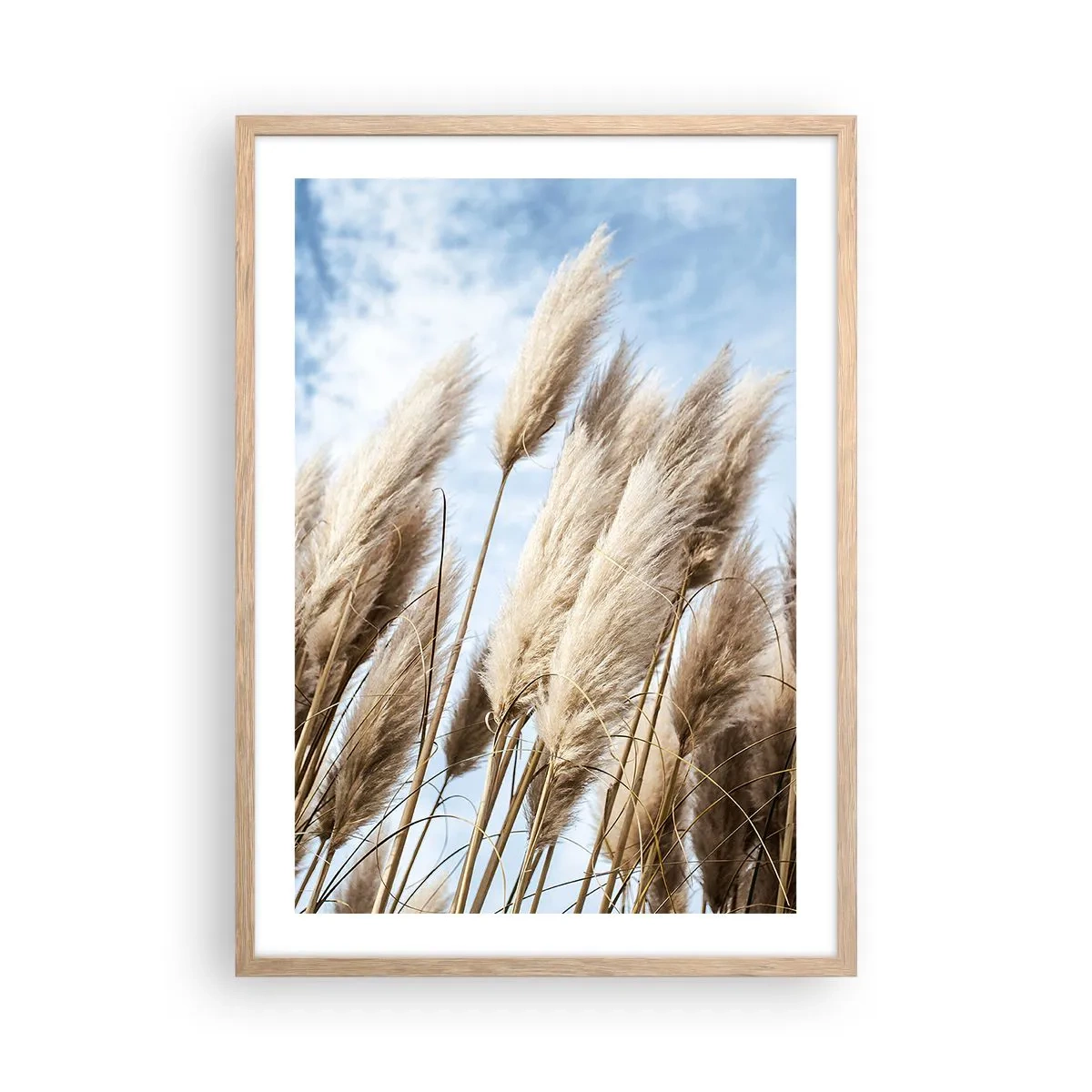 Een poster in een licht eiken lijst - Zonnige en winderige streling - 50x70 cm