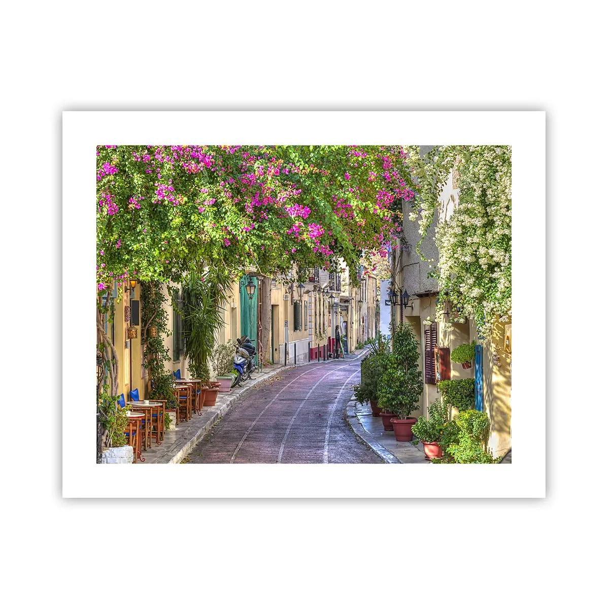 Poster - Bloeiende steeg - 50x40 cm
