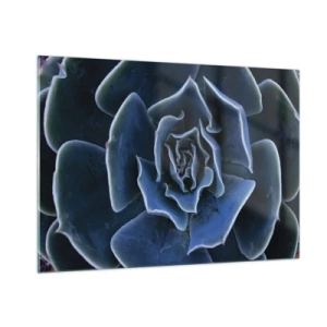 Schilderen op glas - Woestijn bloem - 100x70 cm