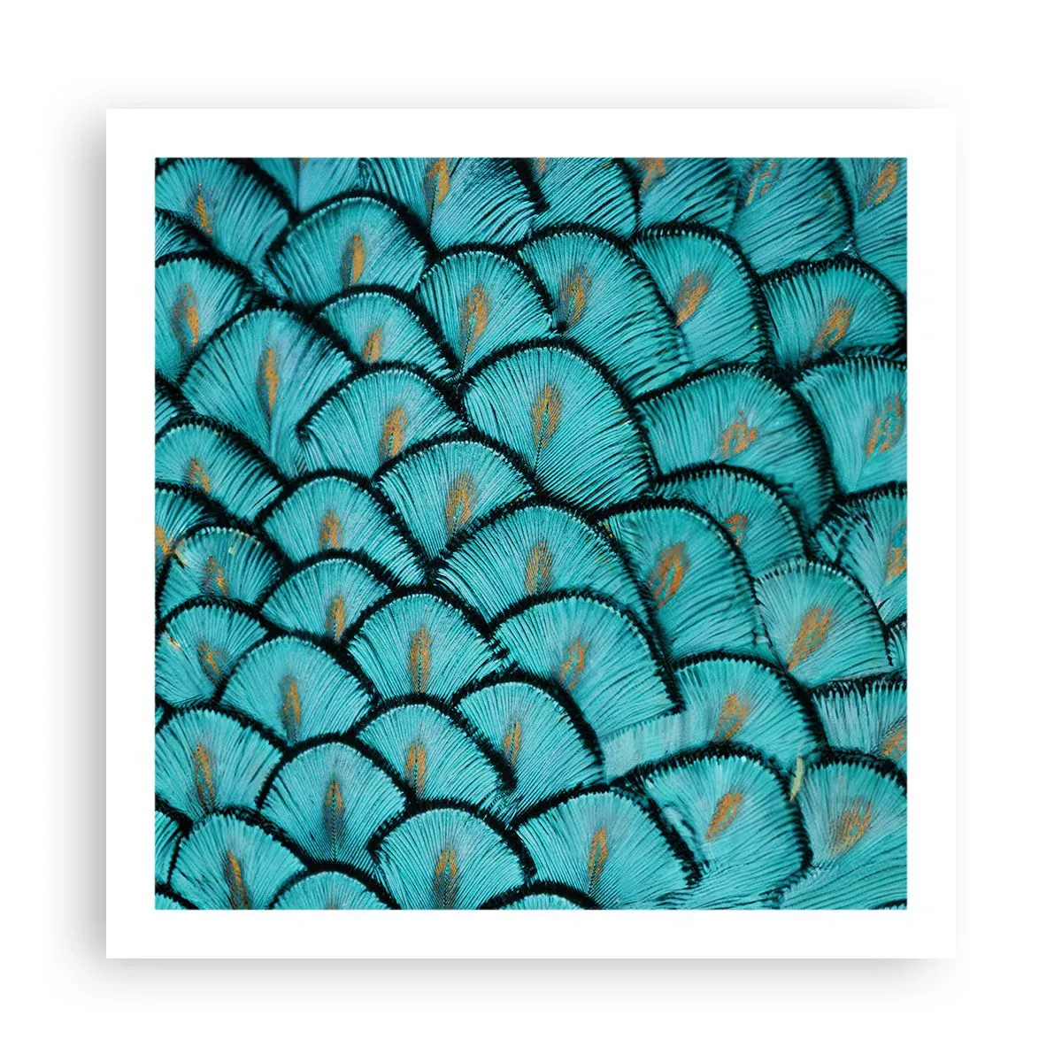 Poster - Het grote verengala - 60x60 cm