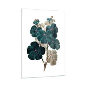 Schilderen op glas - Uit het oude herbarium - 50x70 cm