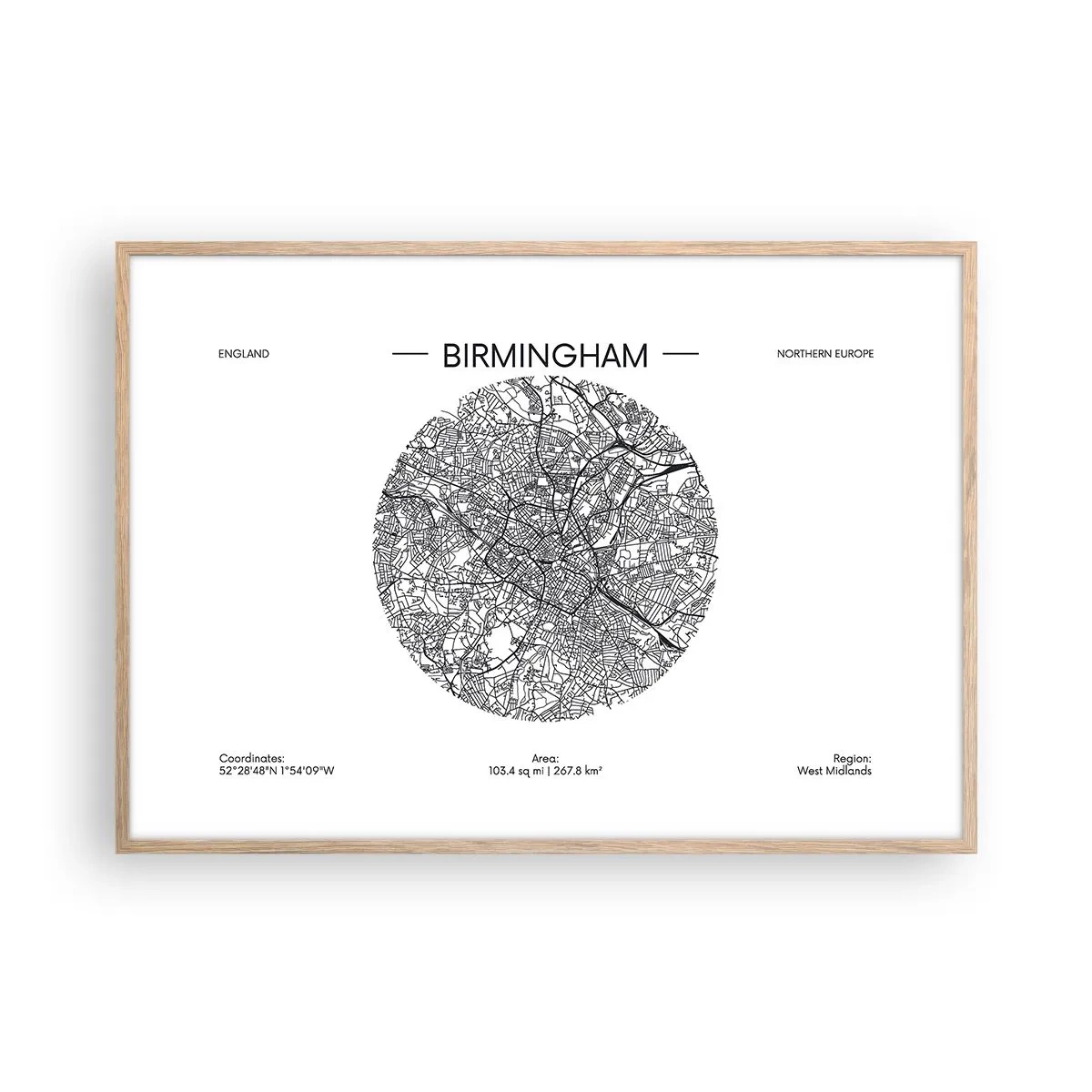 Een poster in een licht eiken lijst - Anatomie van Birmingham - 100x70 cm