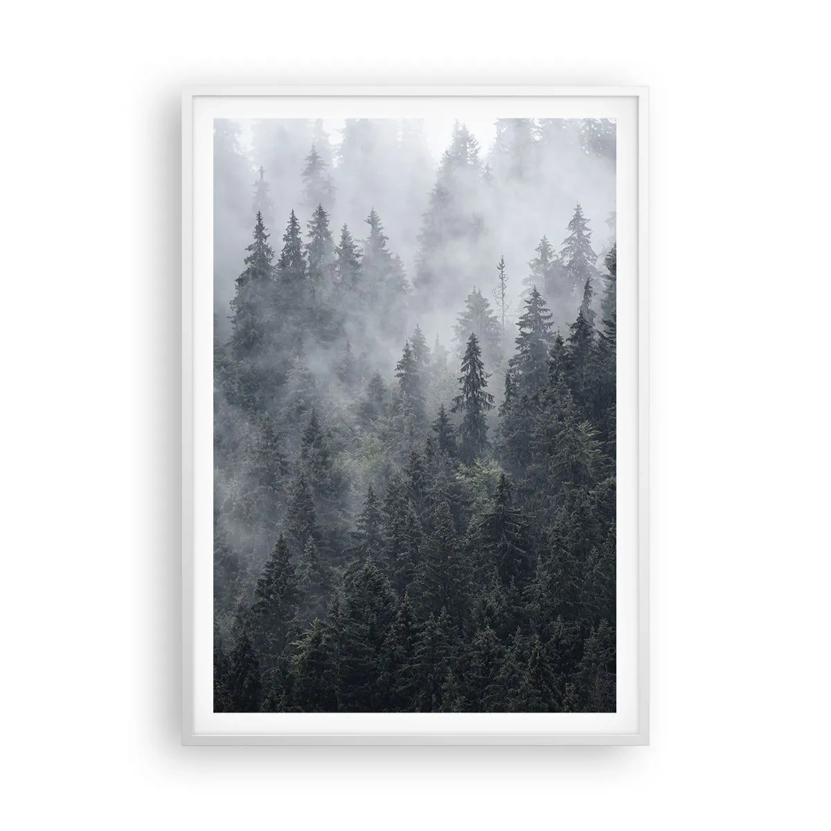Poster in een witte lijst - Bos dageraad - 70x100 cm