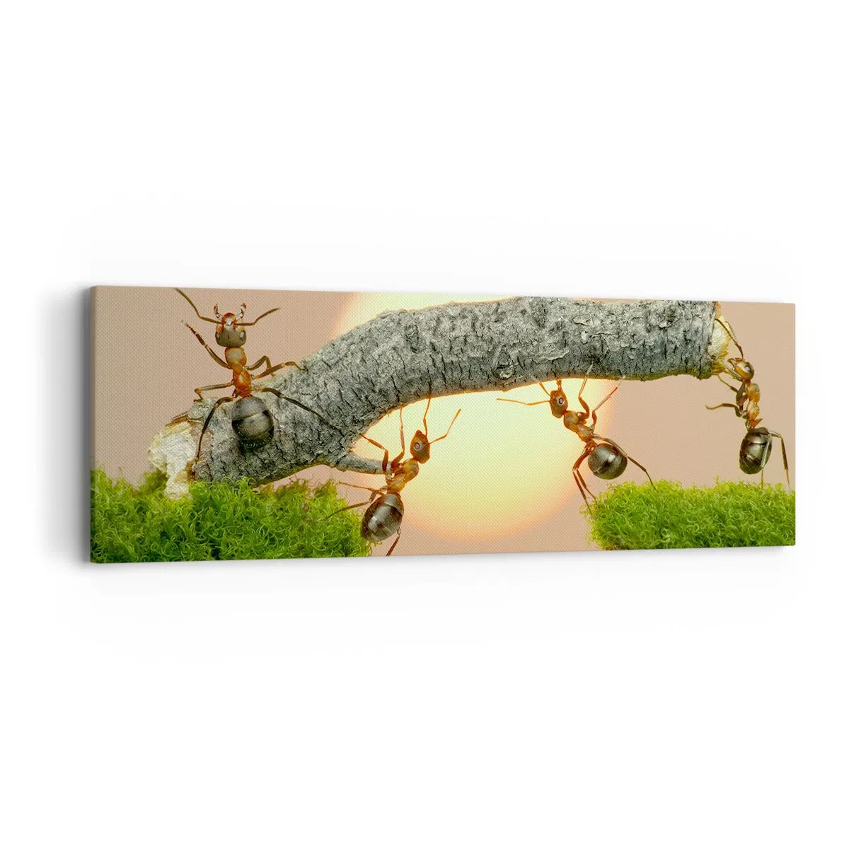 Schilderen op canvas - Gelukkig samenwerken - 90x30 cm