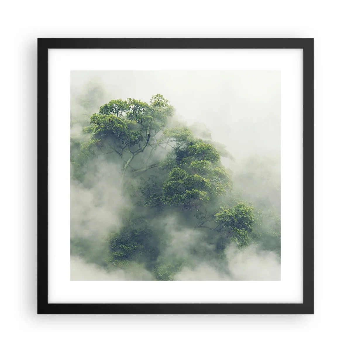 Poster in een zwarte lijst - In mist gehuld - 40x40 cm