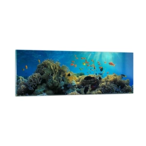 Schilderen op glas - Onderwater schatten - 90x30 cm