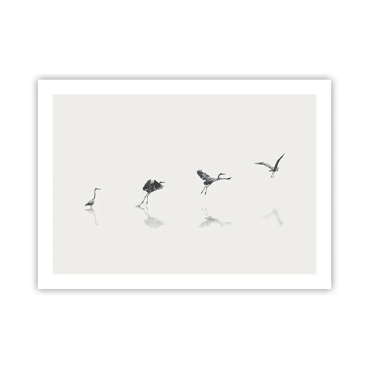 Poster - Vier eenvoudige stappen - 70x50 cm