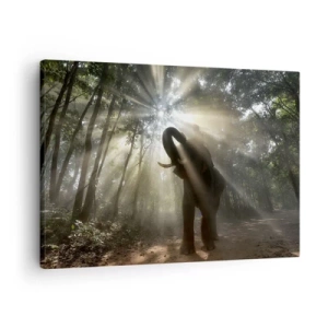 Schilderen op canvas - Een olifant in het bos, omringd door lichtstralen in de ochtendmist - 70x50cm - Onder de gelukkige ster - Moderne wanddecoratie voor woonkamer en slaapkamer ARTTOR