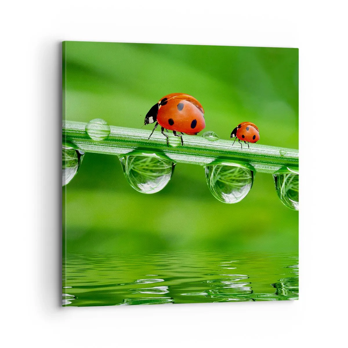 Schilderen op canvas - De hele zomer onderweg - 70x70 cm