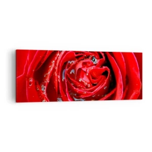 Schilderen op canvas - In de dauwdruppels - 140x50 cm