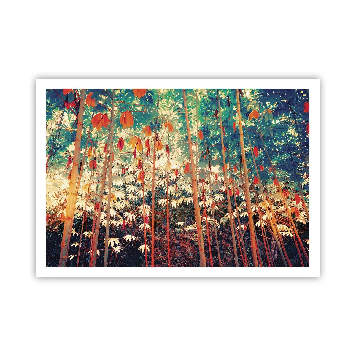 Poster - Het geheime leven van de bladeren - 100x70 cm