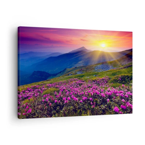 Schilderen op canvas - Een bloeiende weide met uitzicht op de bergen tijdens zonsondergang - 70x50cm - … En eromheen ruikt het naar bergdennen en de geur van kruiden - Moderne wanddecoratie voor woonkamer en slaapkamer ARTTOR