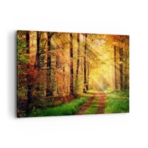 Schilderen op canvas - Bos-gouden stilte - 100x70 cm