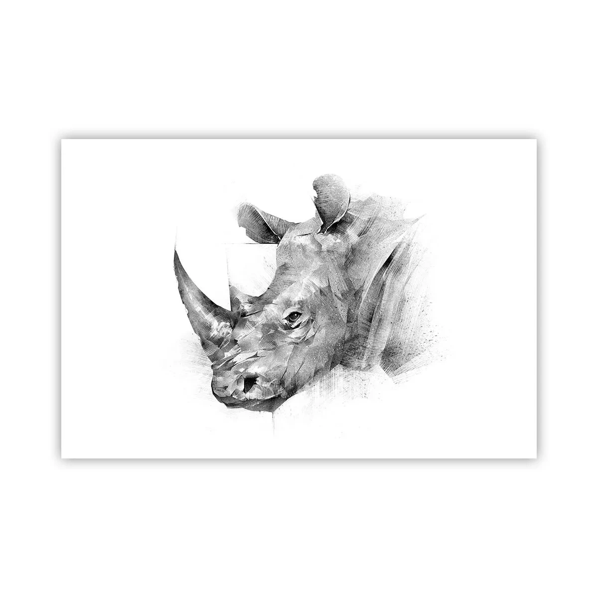 Poster - Afrikaans portret - 91x61 cm