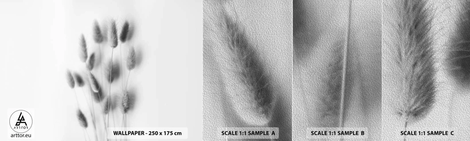 Fotobehang Monster Premium Sand - Haar luchtigheid gras - Gras, Zwart en wit, Bloemen - 100x30 cm