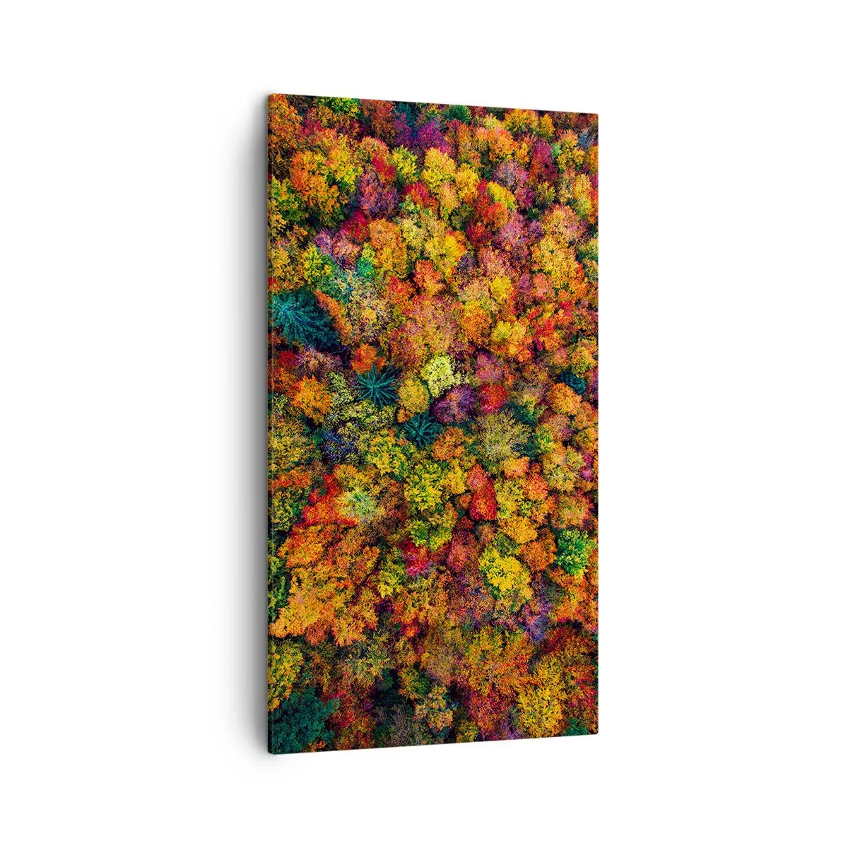 Schilderen op canvas - Boeket herfstbomen - 45x80 cm