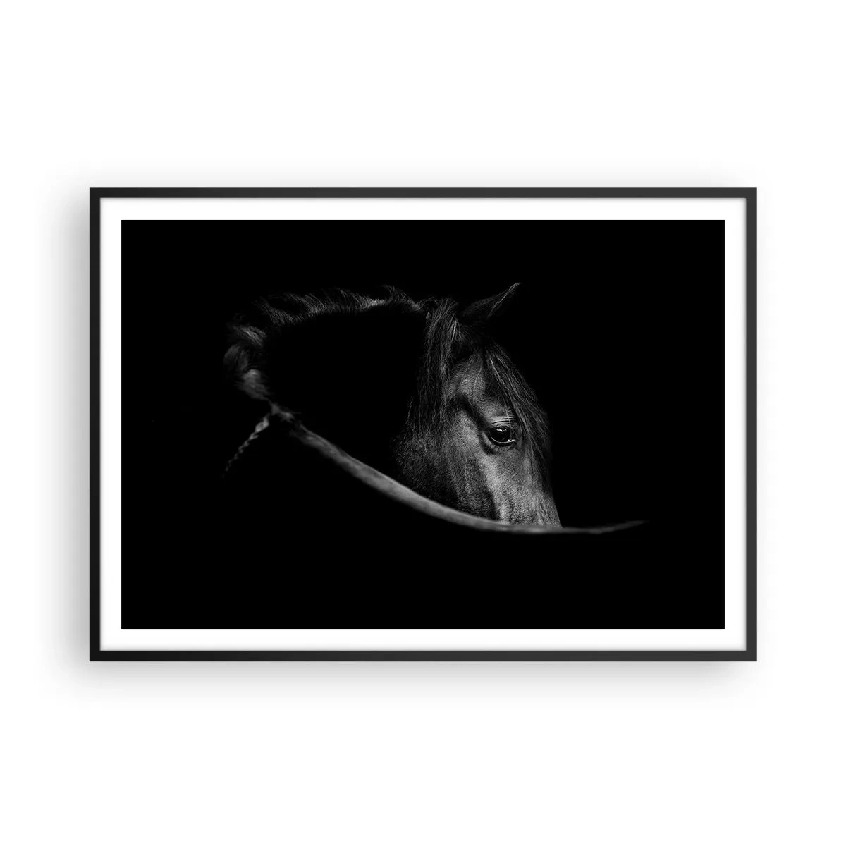 Poster in een zwarte lijst - Zwarte Prins - 100x70 cm