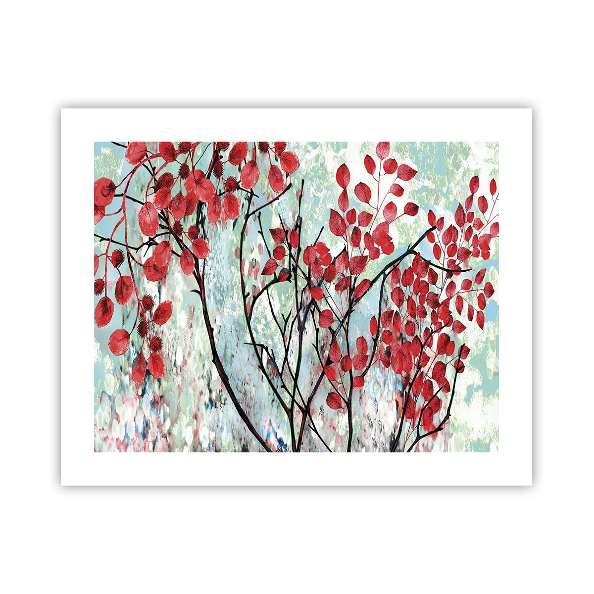 Poster - Boom in scharlaken - 50x40 cm