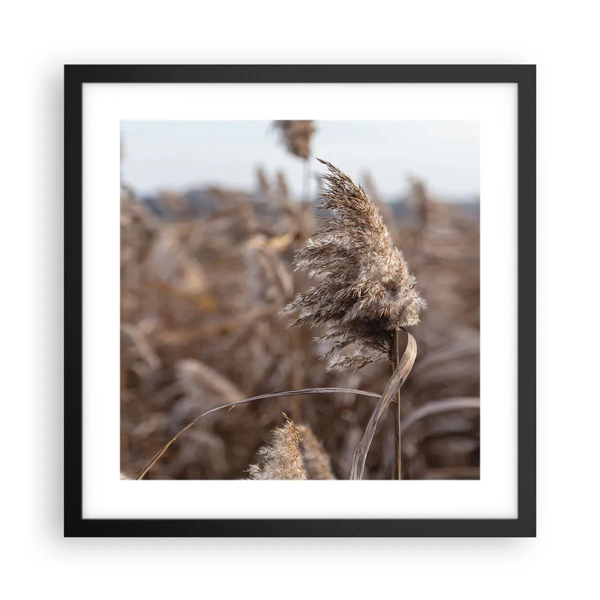 Poster in een zwarte lijst - Tijd om met de wind mee te gaan - 40x40 cm